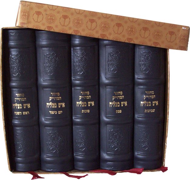 מחזורים מעור – סט